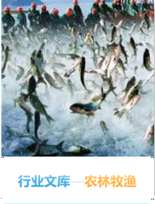 林业文库