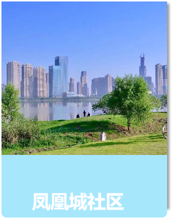 建筑建材
